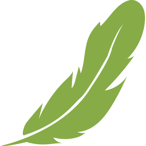 feather (3)
